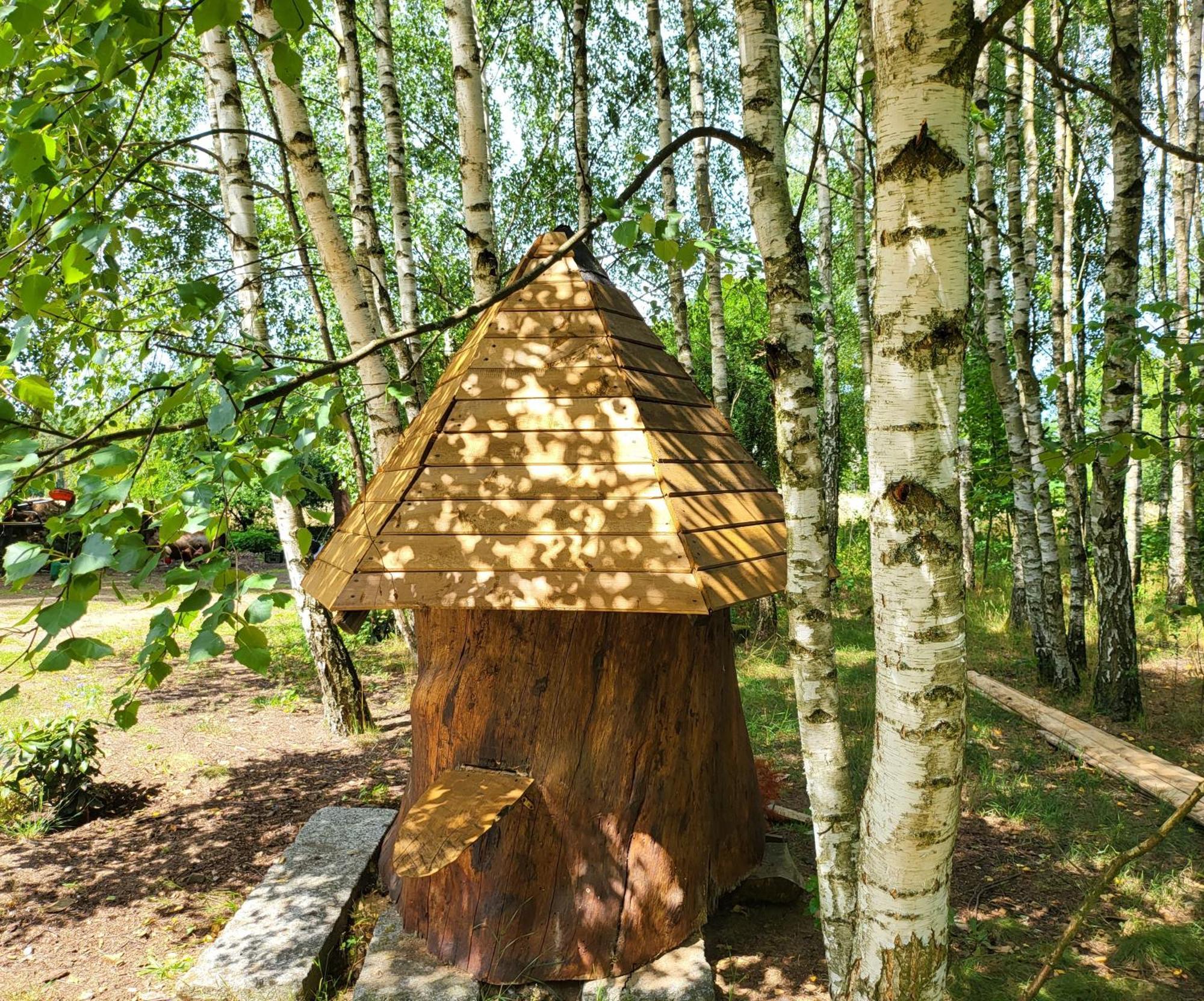 Borowe Chatki Nad Lubiszewem Lipusz Exterior foto